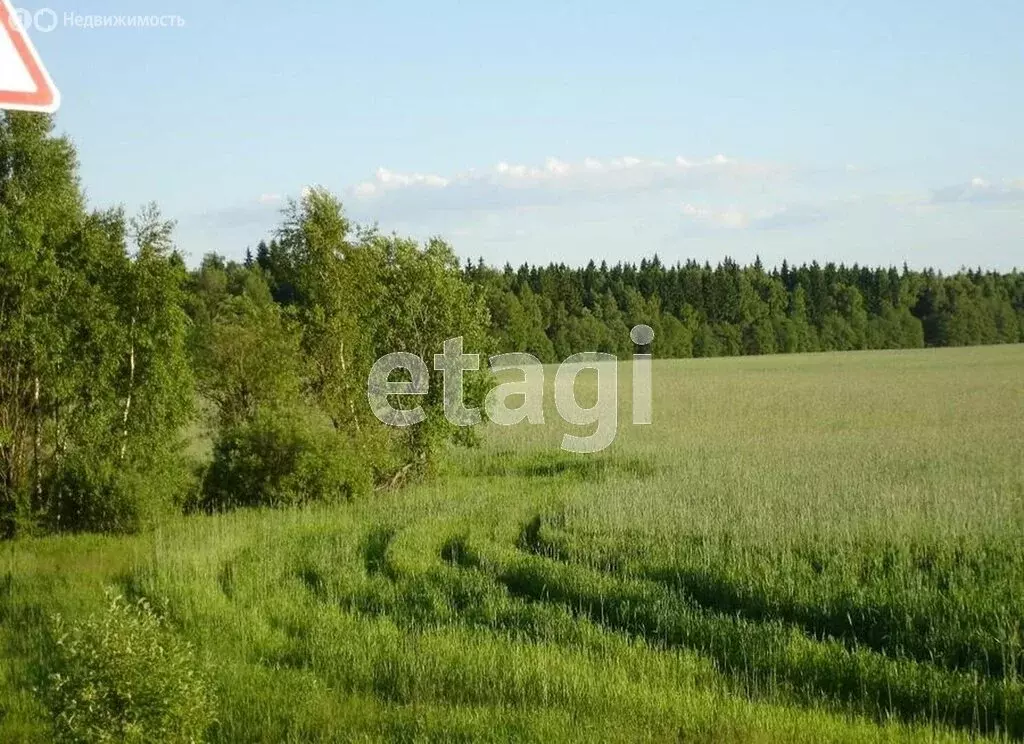 Участок в Омутинский район, деревня Медвежка (12400 м) - Фото 1