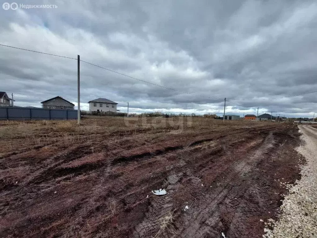 Участок в Энгельсский район, Красноярское муниципальное образование, ... - Фото 2