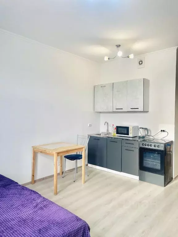 Студия Ленинградская область, Сертолово Всеволожский район, ... - Фото 2