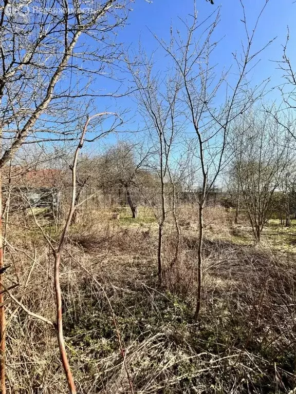 Участок в Смоленск, улица Механизаторов (7.6699996 м) - Фото 2