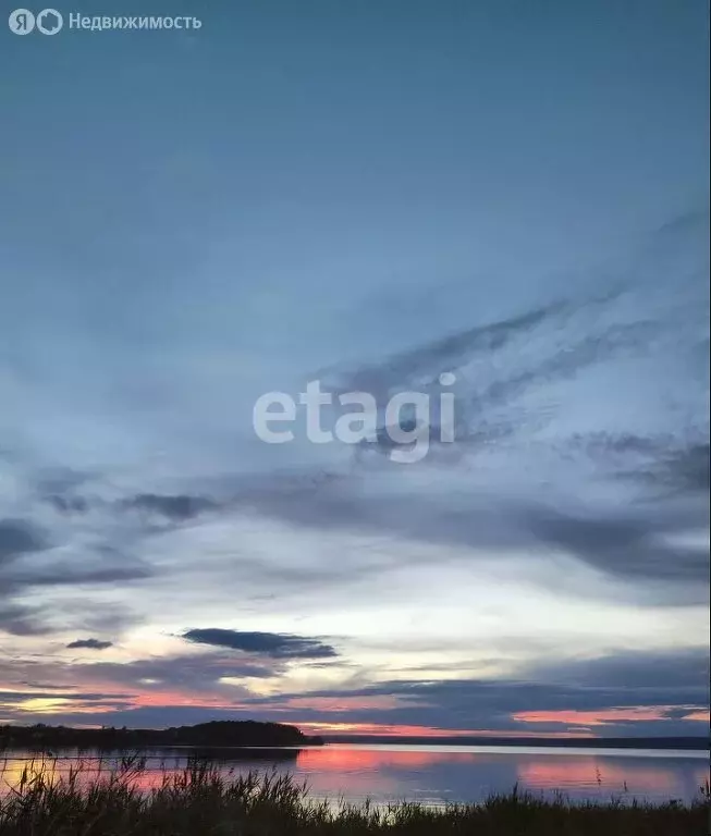 Участок в Искитимский район, Мичуринский сельсовет, садовое ... - Фото 1