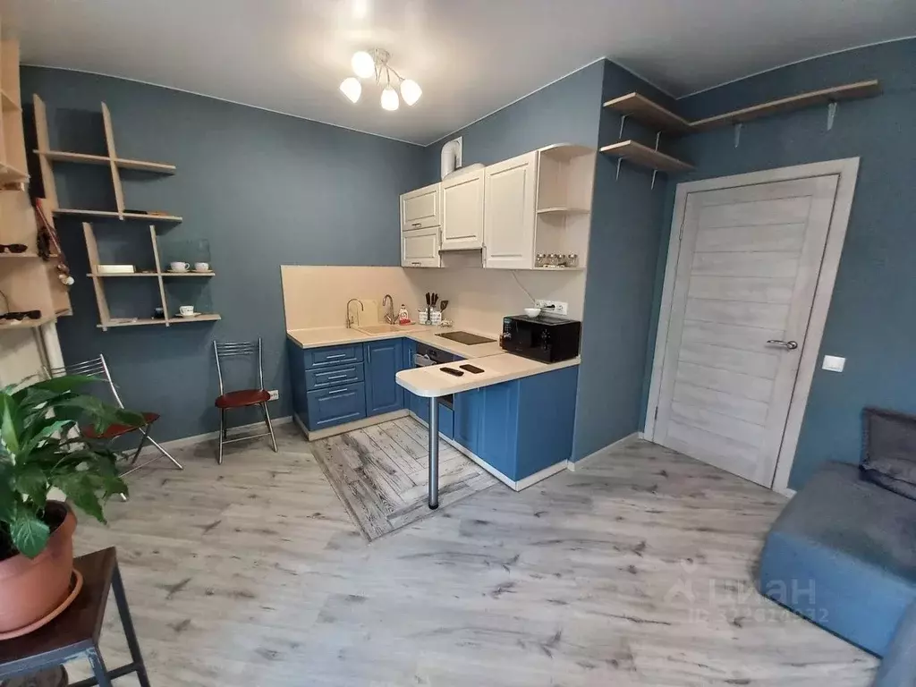 Студия Санкт-Петербург просп. Королева, 69 (25.6 м) - Фото 2