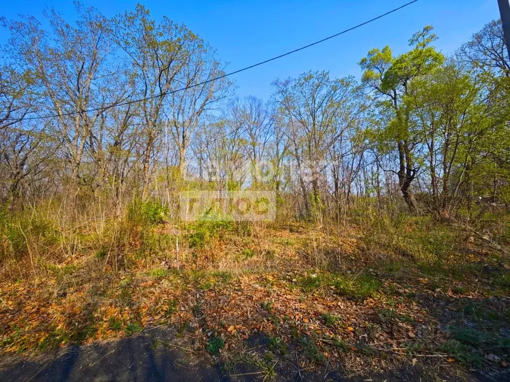 Участок в Приморский край, Фокино Горная ул., 18 (20.0 сот.) - Фото 1
