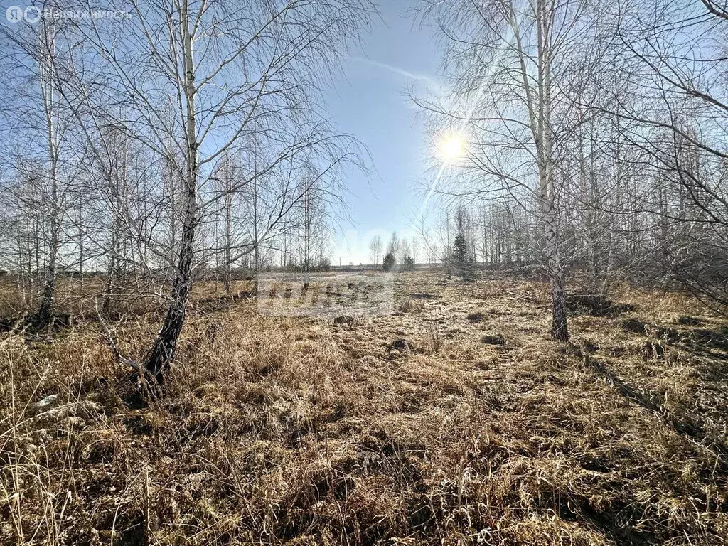 Участок в Кременкульское сельское поселение, загородный посёлок ... - Фото 1