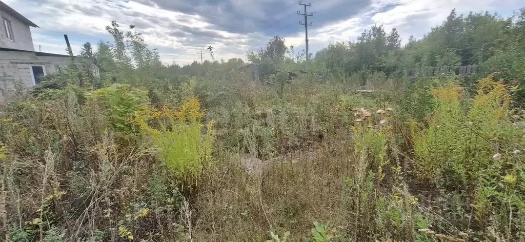 Участок в Самарская область, Самара НПО Жигулевские сады тер.,  (6.0 ... - Фото 2