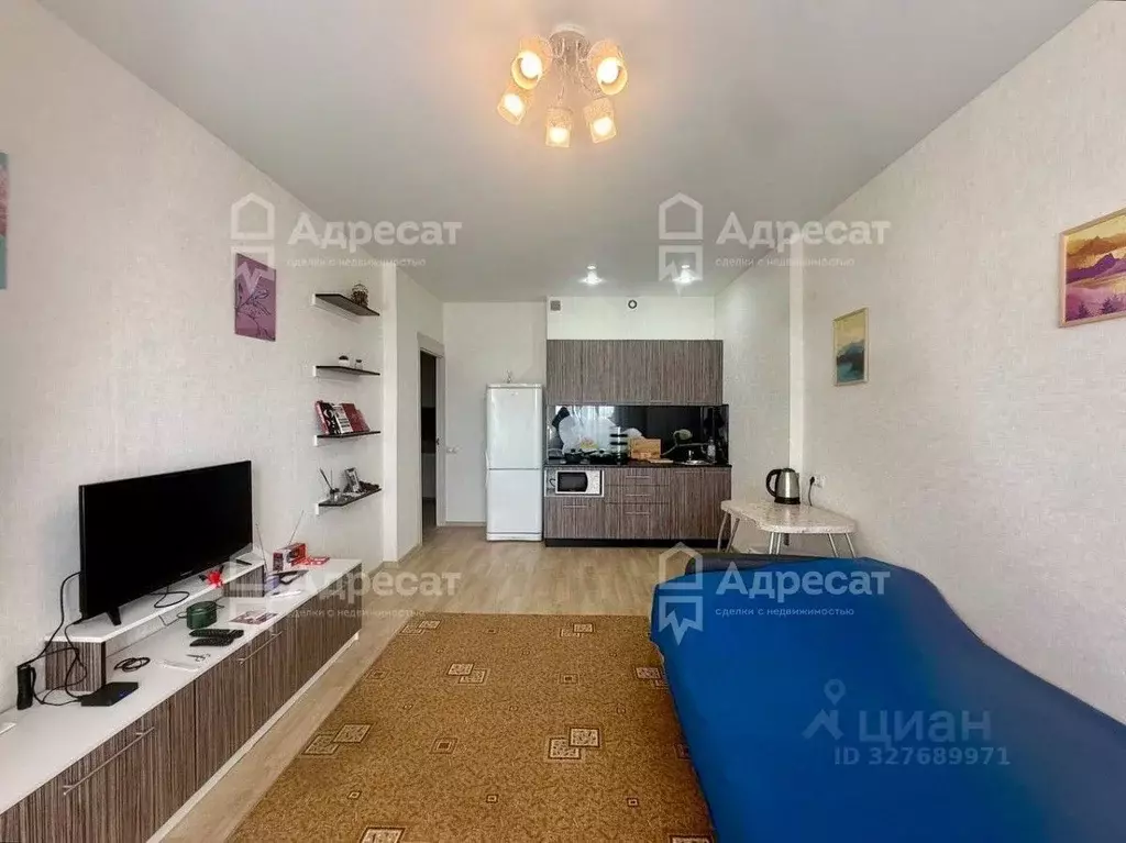 Студия Волгоградская область, Волгоград бул. 30-летия Победы, 19Б ... - Фото 0