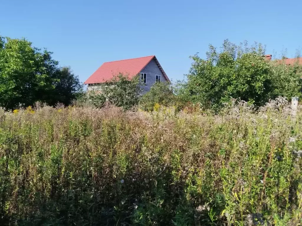 Участок в Тульская область, Тула городской округ, пос. Петровский ... - Фото 1
