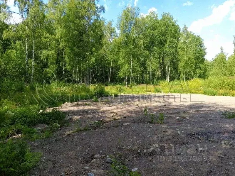Участок в Ленинградская область, Приозерский район, Ларионовское ... - Фото 1