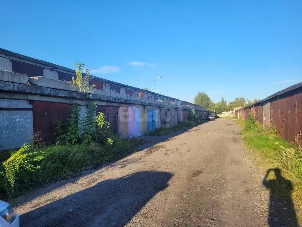 Гараж в Тюменская область, Тюмень Дамбовская ул., 51 (22 м) - Фото 1