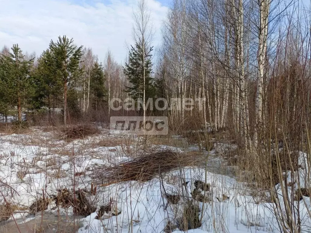 Участок в Ленинградская область, Тосненский район, Рябовское городское ... - Фото 1
