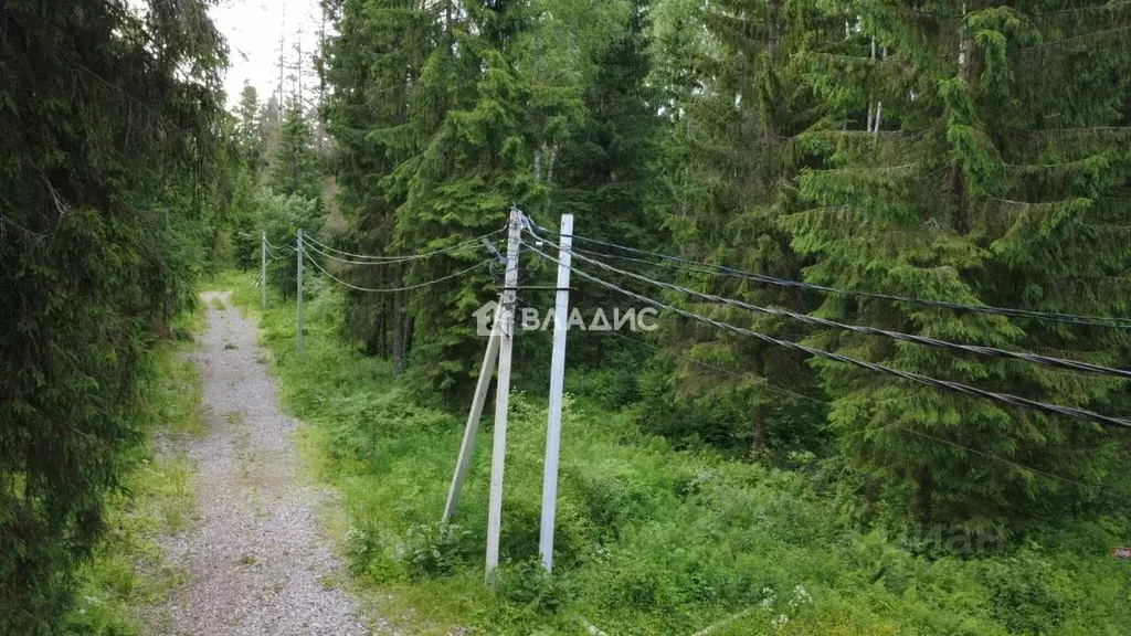 Участок в Ленинградская область, Ломоносовский район, Лопухинское ... - Фото 2