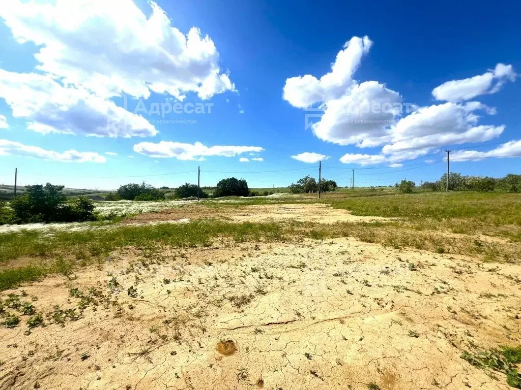 Участок в посёлок Царицын, садовые участки Микояновское (10 м) - Фото 2