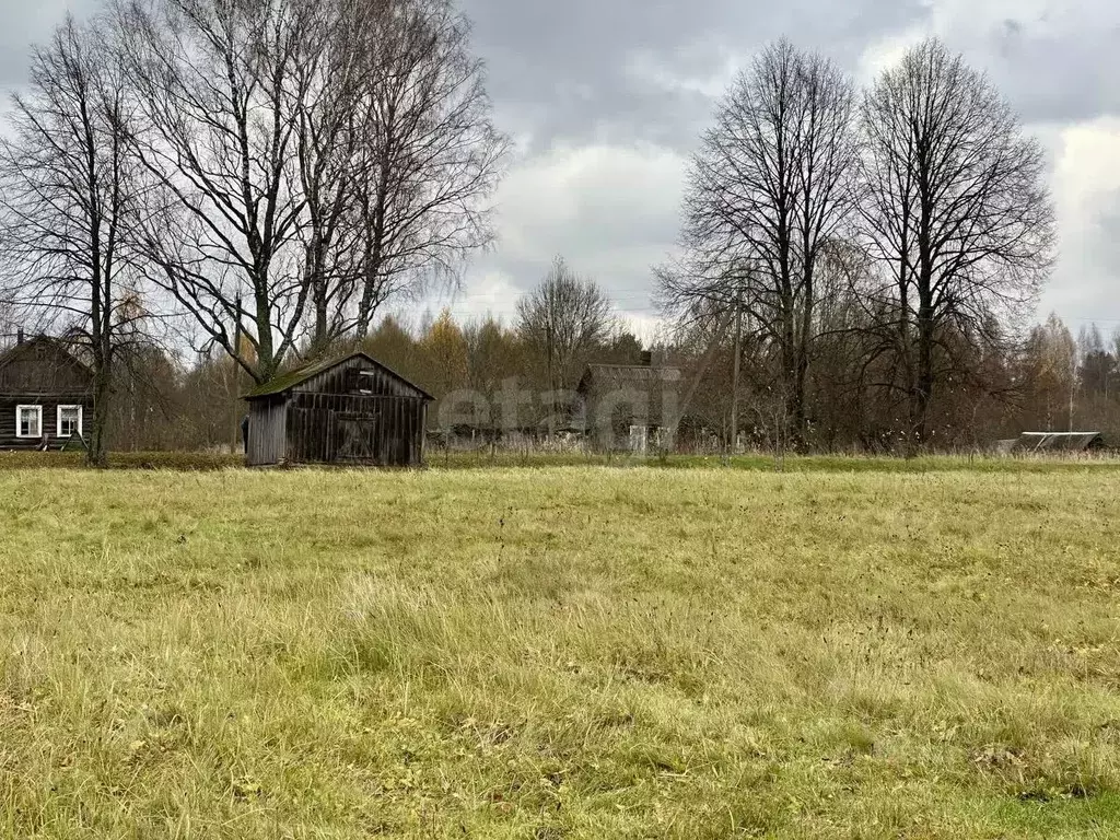Участок в Смоленская область, Демидовский муниципальный округ, д. ... - Фото 2