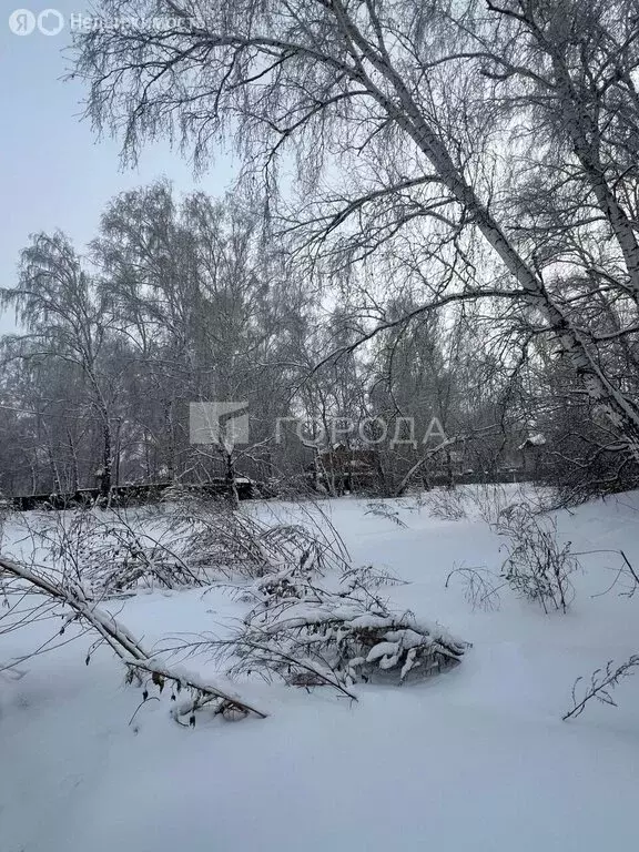 Участок в село Санниково, улица Никифора Полковникова, 28 (20 м) - Фото 2