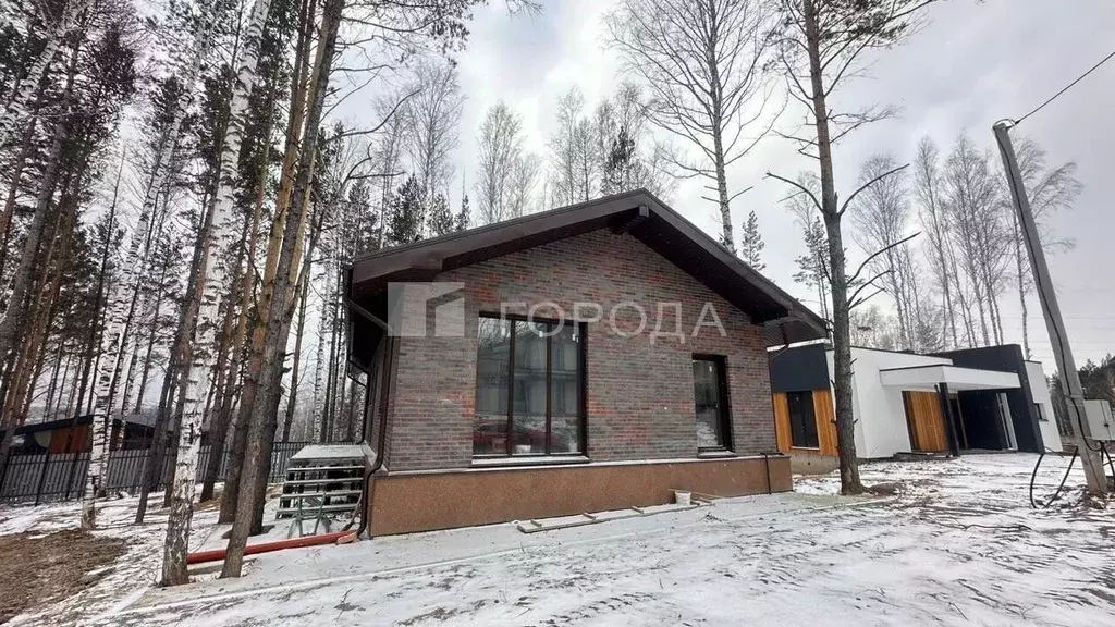 Дом в Новосибирская область, с. Новолуговое ул. Амурская (197 м) - Фото 1