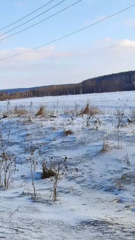 Участок в Свердловская область, Екатеринбург Кургановский дп,  (25.5 ... - Фото 1