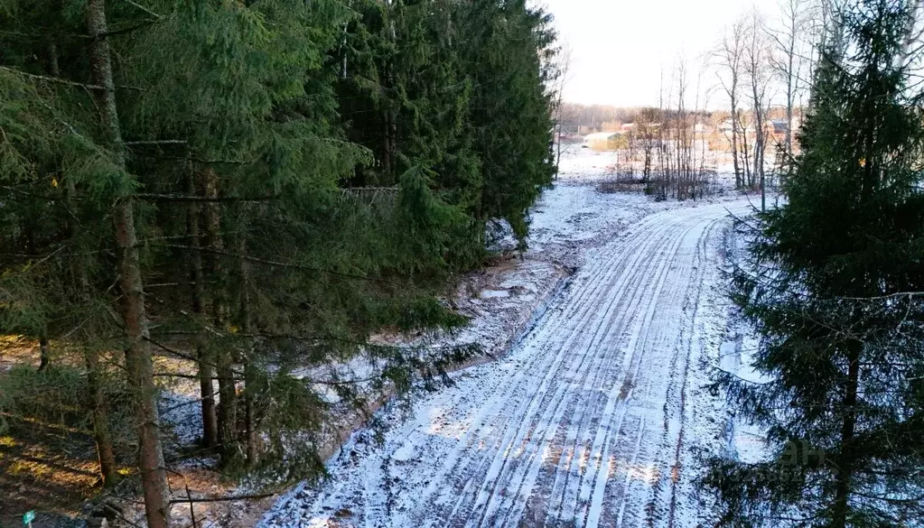 Участок в Московская область, Чехов муниципальный округ, д. Слепушкино ... - Фото 2