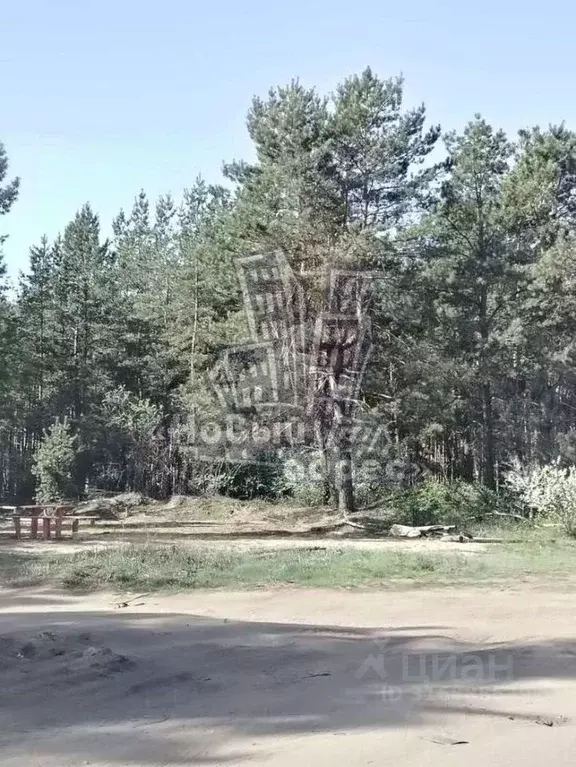 Участок в Воронежская область, Рамонский район, с. Русская Гвоздевка ... - Фото 1