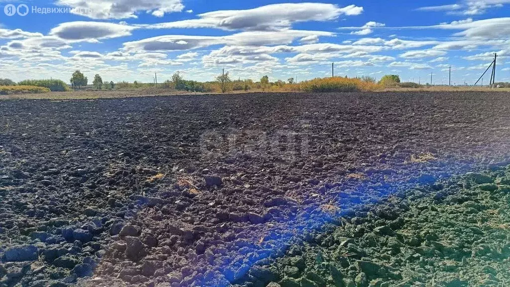 Участок в Белгородская область, Красногвардейский муниципальный округ, ... - Фото 1