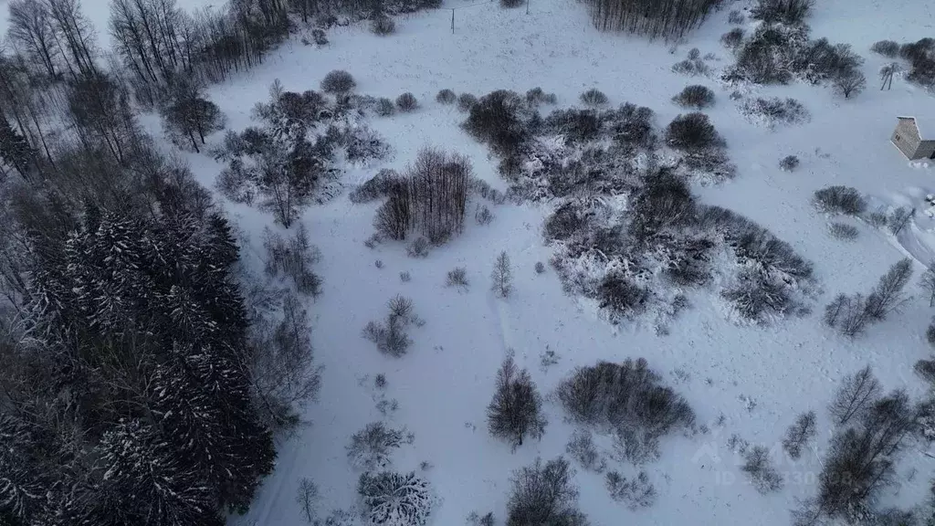 Участок в Московская область, Волоколамский муниципальный округ, с. ... - Фото 2