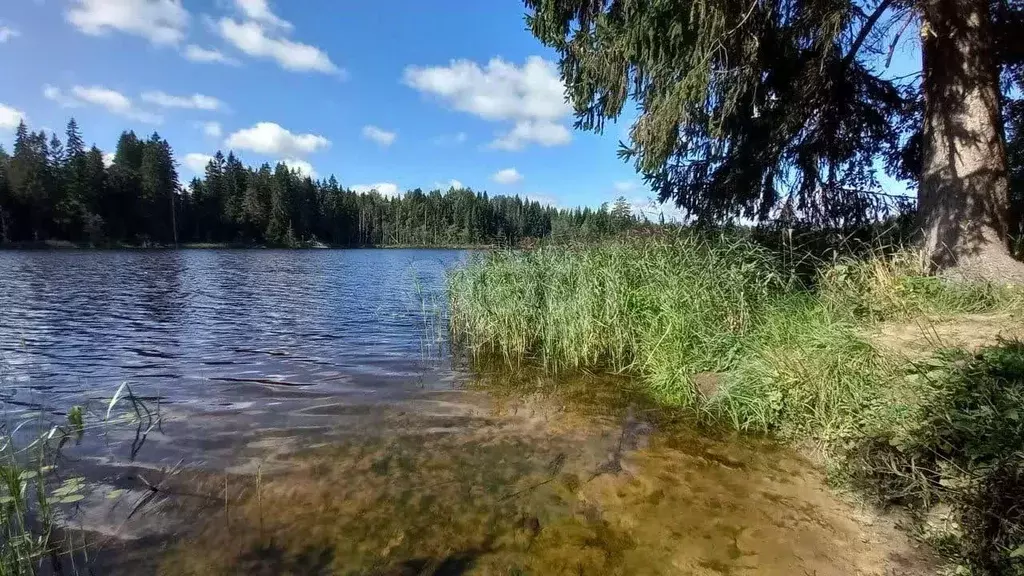Дом в Новгородская область, Демянский муниципальный округ, д. Перерва ... - Фото 0