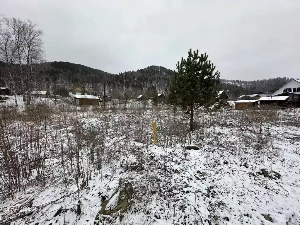 Участок в Алтай, Майминский район, с. Соузга Школьный пер. (10.0 сот.) - Фото 1