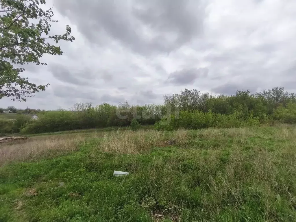 Участок в Белгородская область, Белгородский район, с. Стрелецкое, ... - Фото 1