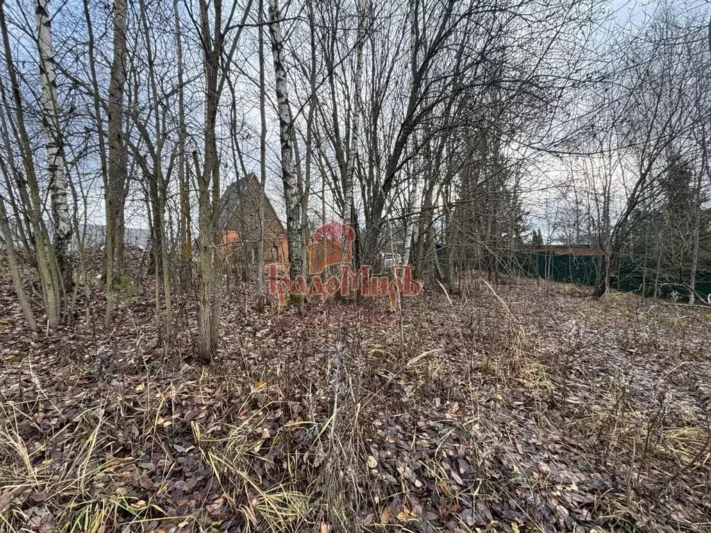 Участок в Московская область, Сергиево-Посадский городской округ, д. ... - Фото 1