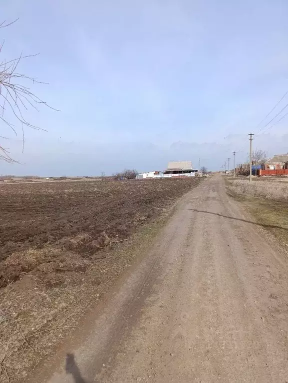 Участок в Краснодарский край, Щербиновское с/пос, пос. Щербиновский ... - Фото 1