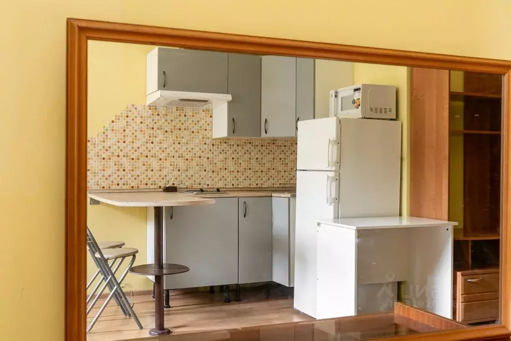 Студия Санкт-Петербург ул. Ушинского, 33к3 (27.3 м) - Фото 0