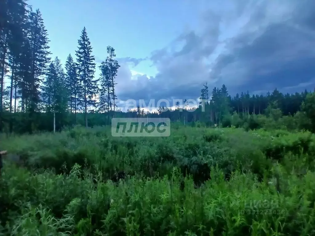 Участок в Свердловская область, Ревда пл. Победы (10.0 сот.) - Фото 1