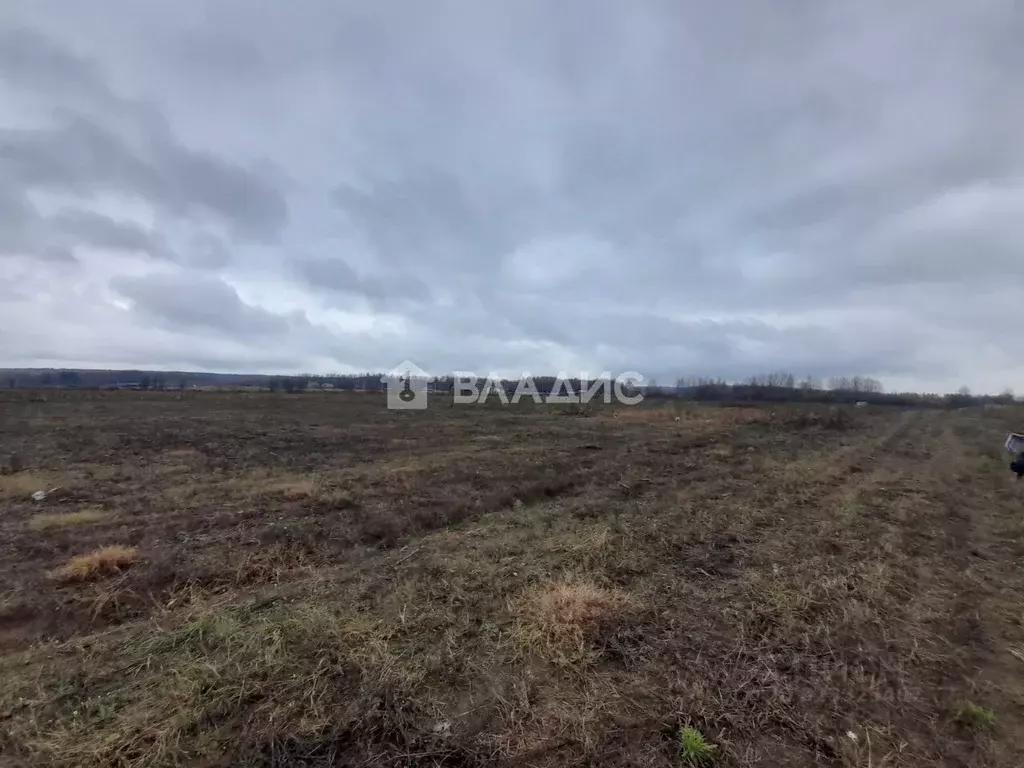 Участок в Владимирская область, Собинский муниципальный округ, д. ... - Фото 2