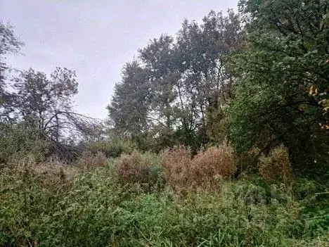 Участок в Московская область, Сергиево-Посадский городской округ, с. ... - Фото 1