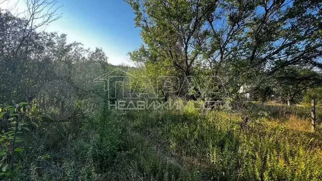 Участок 12 сот. (СНТ, ДНП) - Фото 0