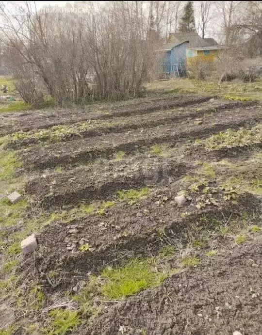 Участок в Заячье-Холмское сельское поселение, садоводческое ... - Фото 0