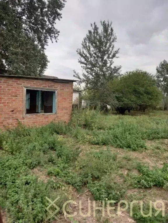 Дом в Ростовская область, Азовский район, Рогожкино хут.  (54 м) - Фото 0