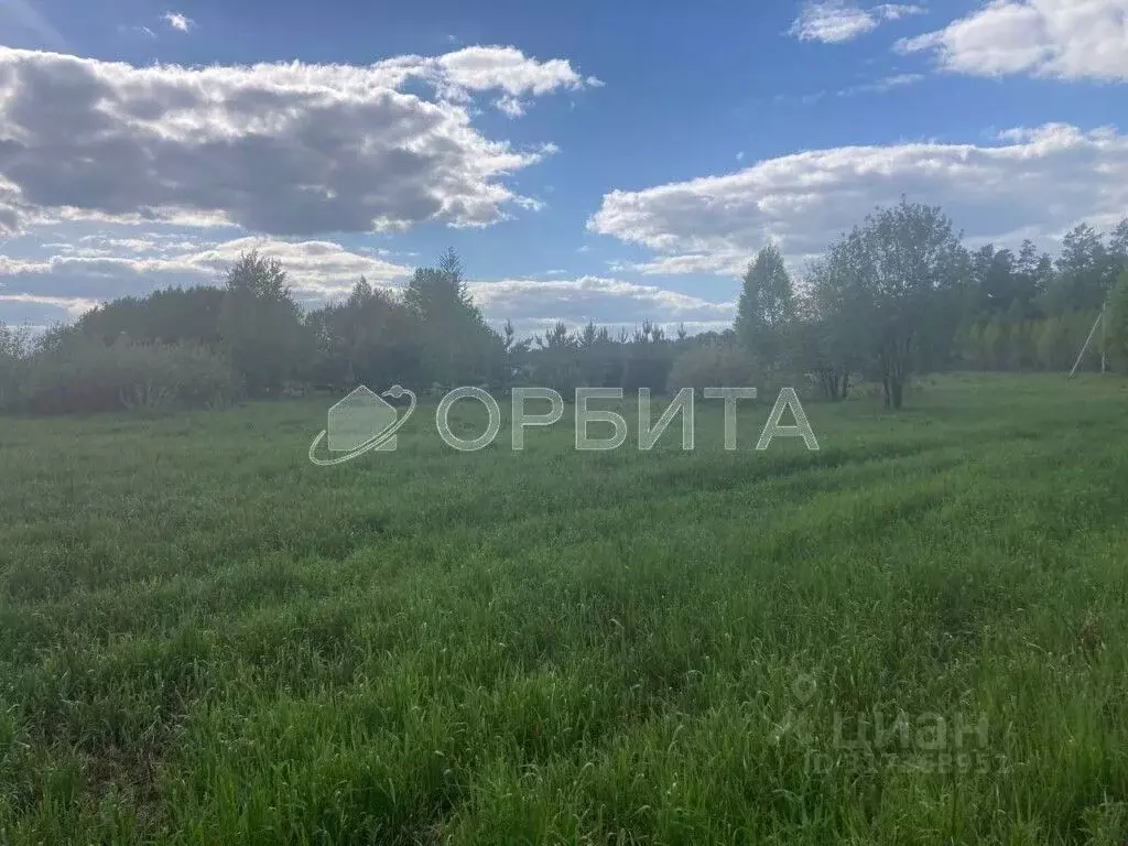 Участок в Тюменская область, Тюменский район, Новокаменский кп  (11.5 ... - Фото 0