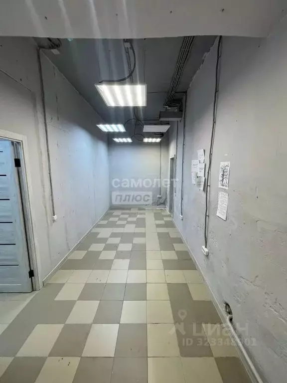 Помещение свободного назначения в Иркутская область, Иркутск ул. ... - Фото 1