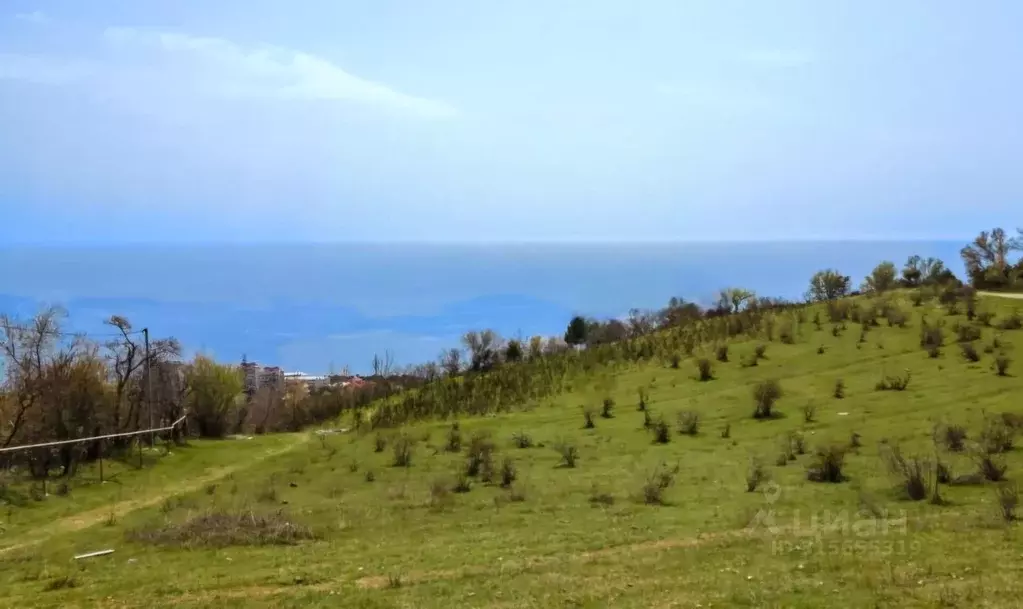 Участок в Крым, Ялта муниципальный округ, Никита пгт ул. Имени Героя ... - Фото 1