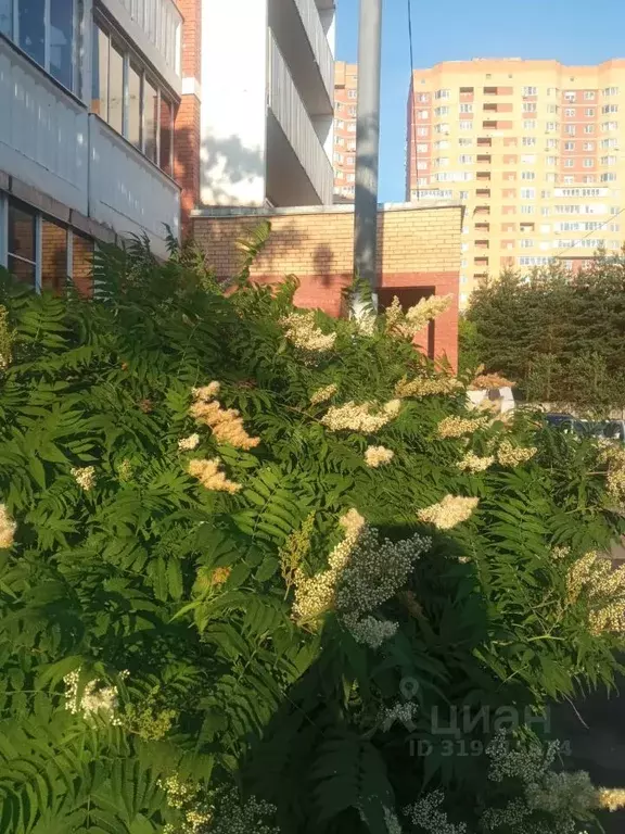 1-к кв. Башкортостан, Уфа ул. Мира, 3 (39.7 м) - Фото 1