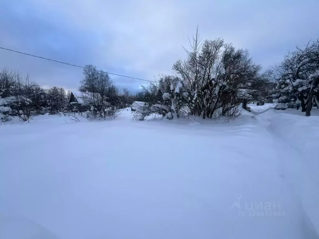 Участок в Московская область, Пушкинский городской округ, Софрино пгт ... - Фото 2