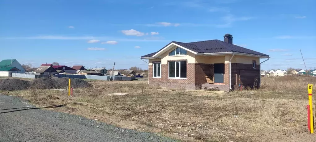 Дом в Пензенская область, Бессоновский район, с. Чемодановка ул. ... - Фото 0