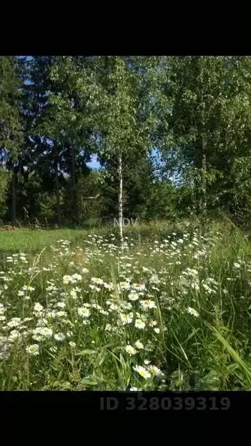 Участок в Московская область, Раменский муниципальный округ, Залесье ... - Фото 2