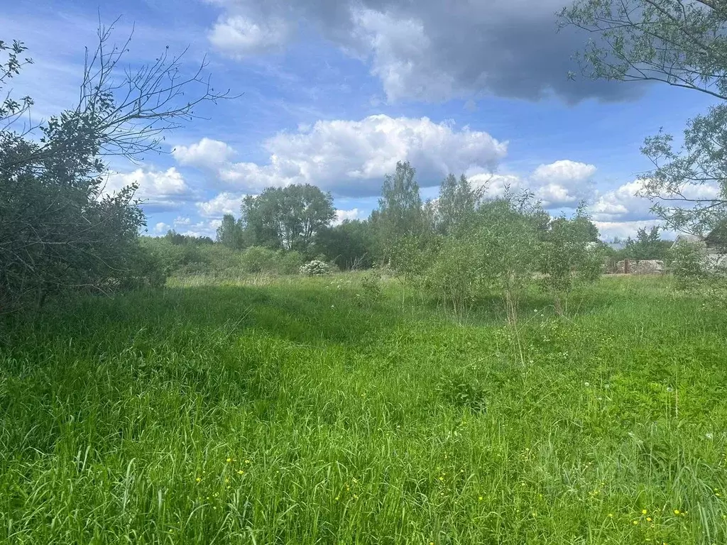 Участок в Московская область, Богородский городской округ, д. ... - Фото 0