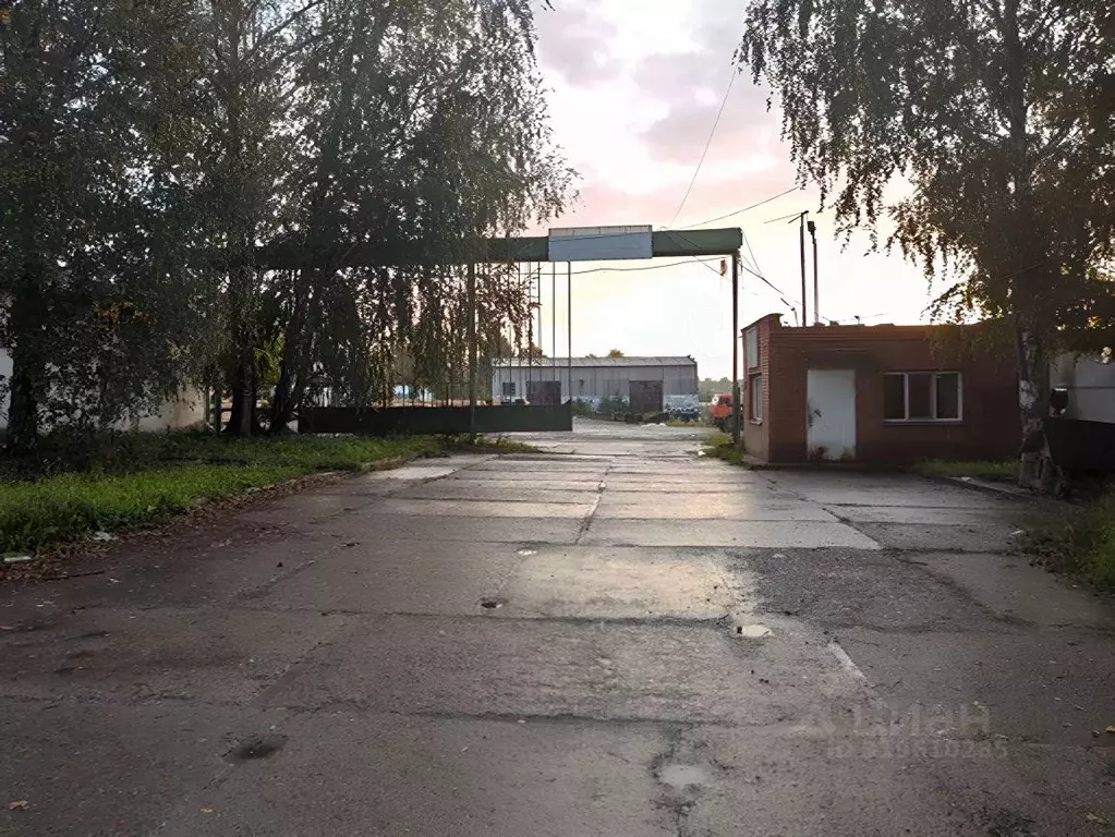 Склад в Новосибирская область, Новосибирский район, с. Раздольное ул. ... - Фото 1