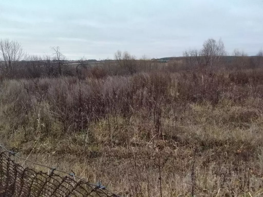 Дом в Нижегородская область, Арзамас городской округ, с. Медынцево ул. ... - Фото 1