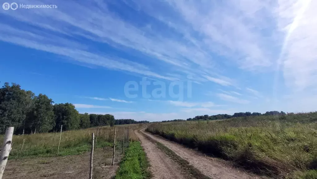 Участок в Мошковский район, посёлок Емельяновский, Тихая улица (10 м) - Фото 1