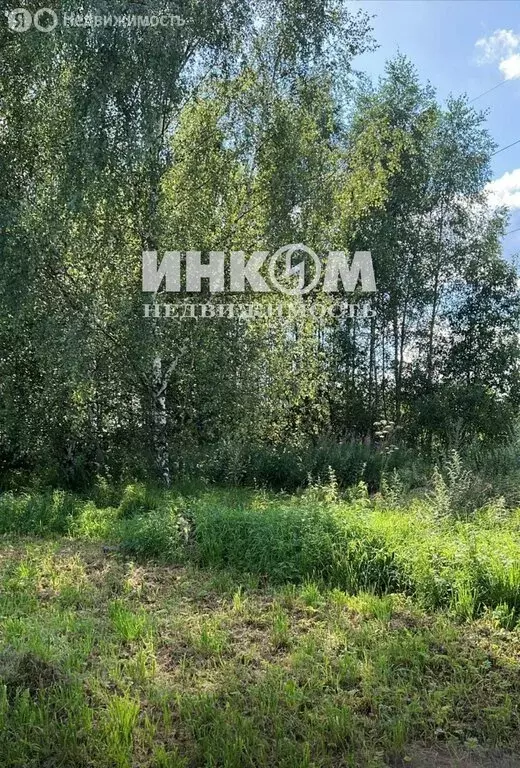 Участок в Московская область, Волоколамский муниципальный округ, ... - Фото 2