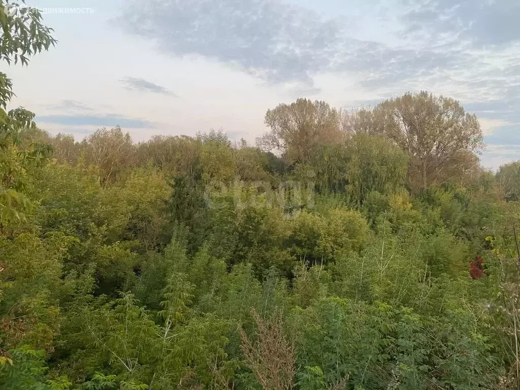 Дом в Стерлитамак, Луговая улица (56 м) - Фото 1