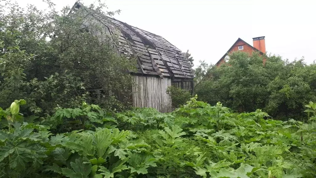 Участок в Московская область, Клин городской округ, д. Никитское ул. ... - Фото 0